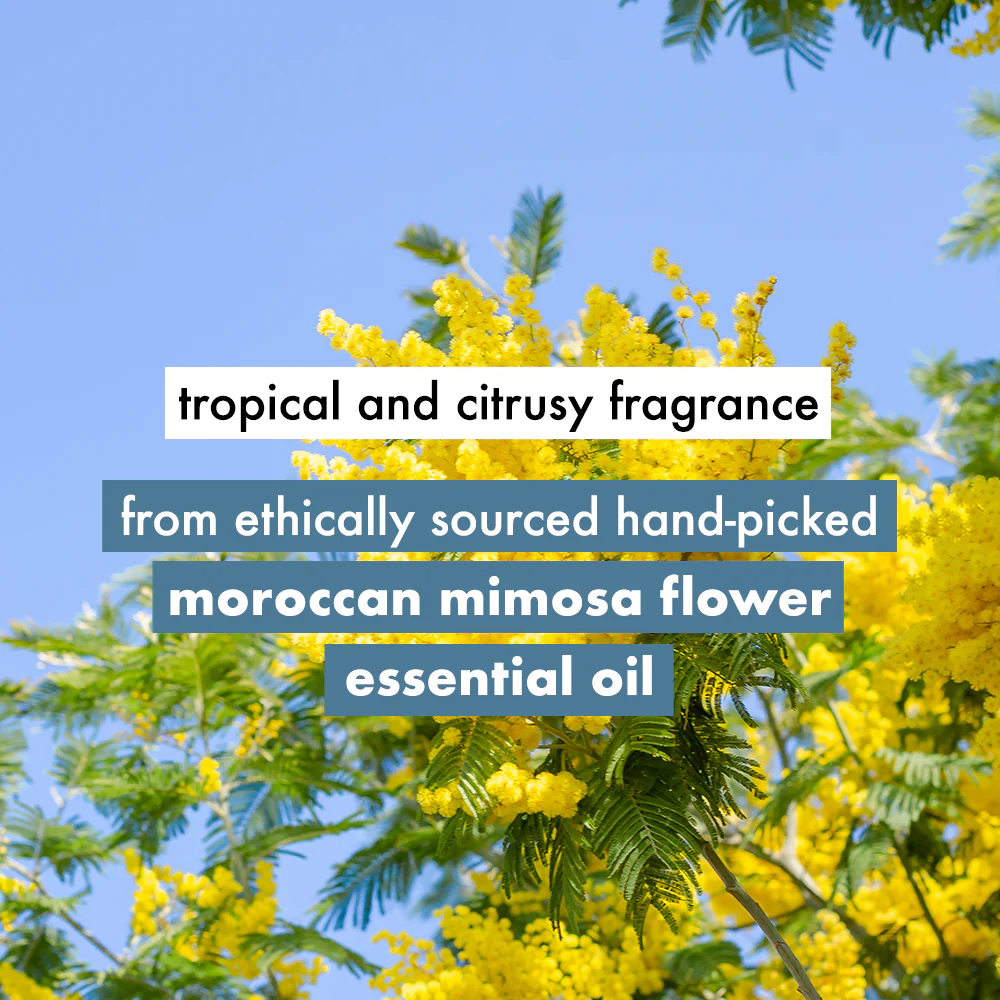 Coconut Water & Mimosa Flower Conditioner - 400 ml - Image 5