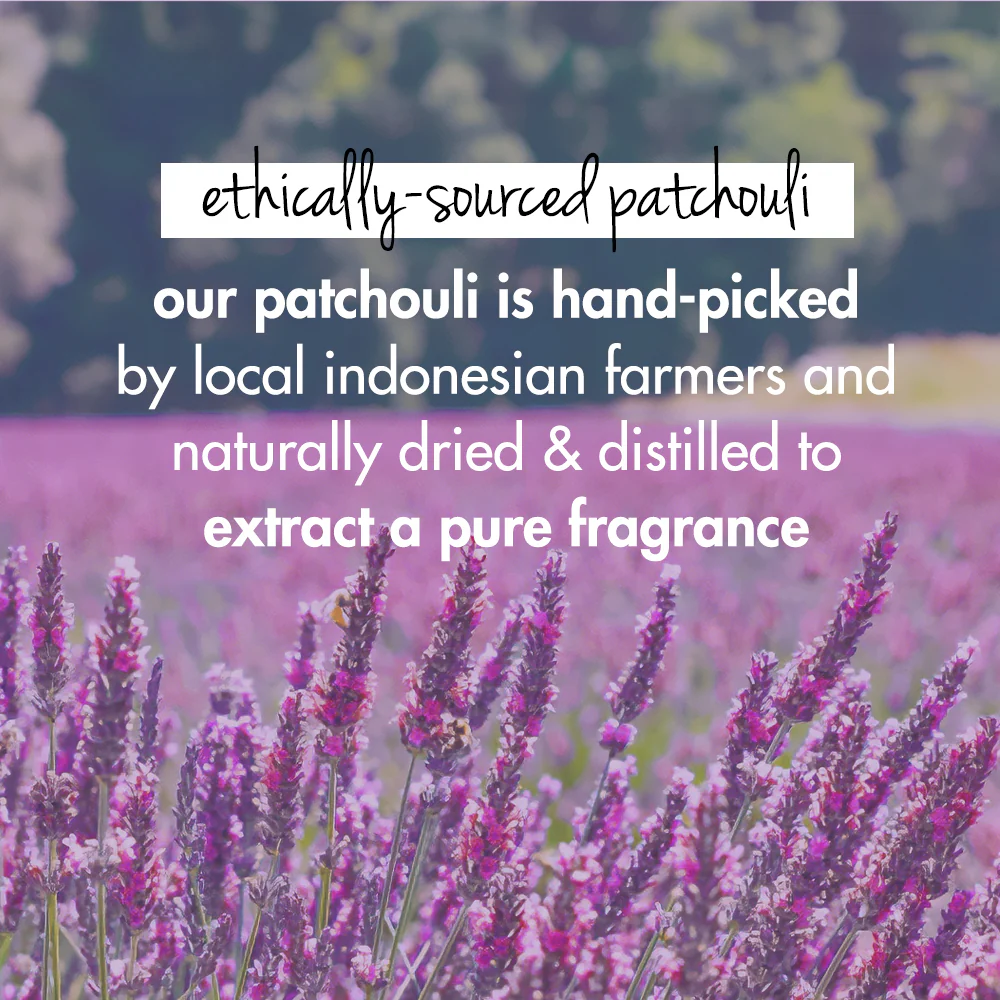 Onion, Blackseed & Patchouli Conditioner - 400 ml - Image 5