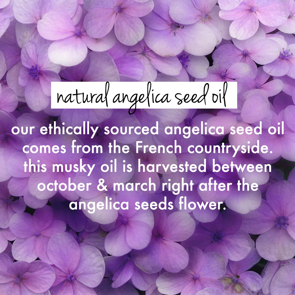 Rice Water & Angelica Seed Oil Shampoo - Image 4