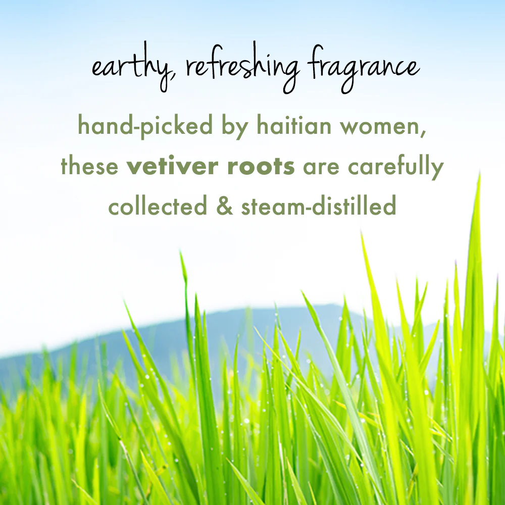 Tea Tree, Peppermint & Vetiver Conditioner - Image 5